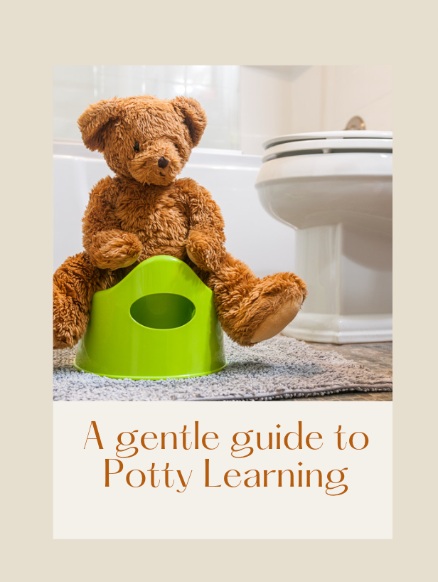 Guide to potty training, teaching children to potty train, potty training a child, struggling to potty train child, need help and guide for potty training, potty learning, children learnig how to use the toilet