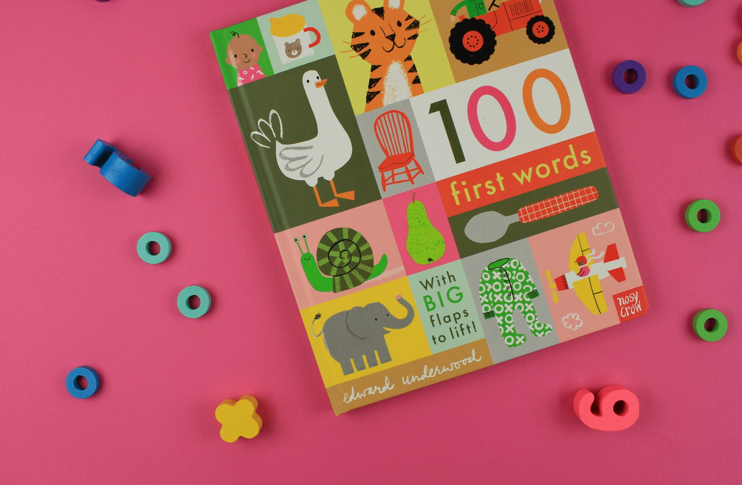 100 First Words Book